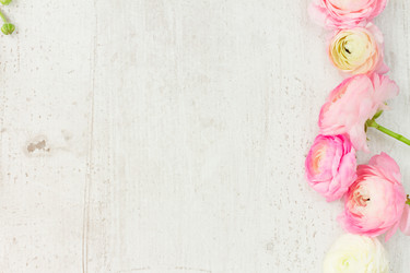 Similar image 11899493