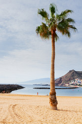 Similar image 11894728