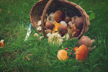 Similar image 11898923