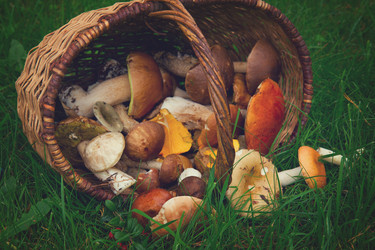 Similar image 11899755