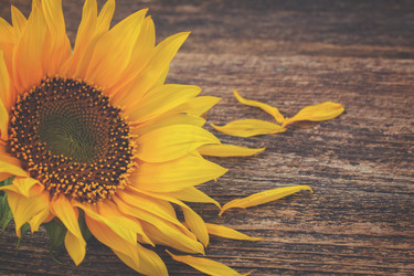 Similar image 11899756