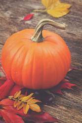 Similar image 11913116