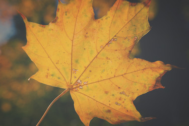 Similar image 11911851