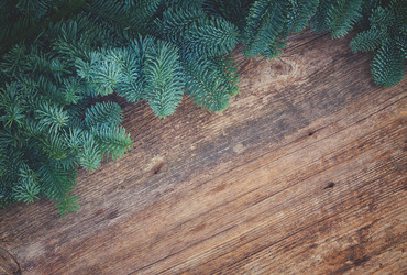 Similar image 11913235