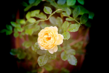 Similar image 11922147