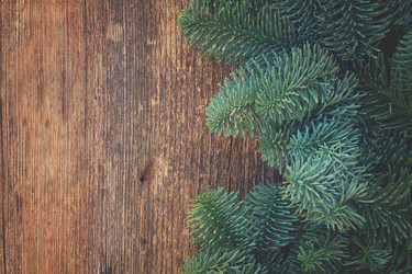 Similar image 11911809