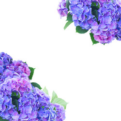 Similar image 11912436