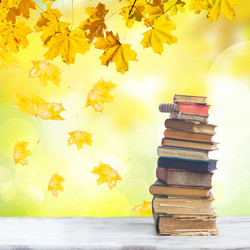 Similar image 11899469