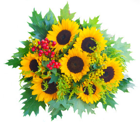 Similar image 11898360