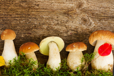 Similar image 11898515