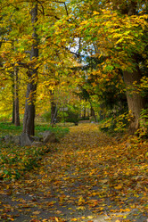 Similar image 11898218