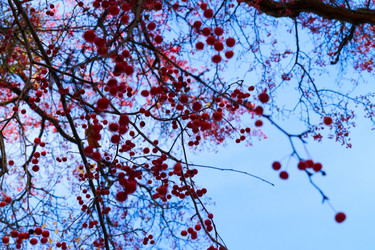 Similar image 11898575