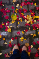 Similar image 11899791