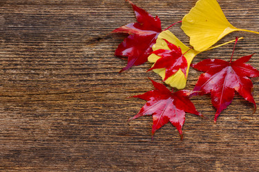 Similar image 11899671