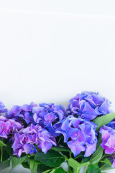 Similar image 11899295