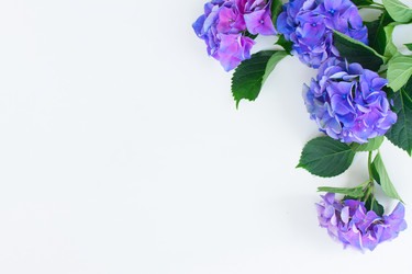 Similar image 11899711