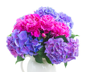 Similar image 11900003