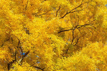 Similar image 11898255