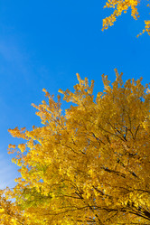 Similar image 11898493