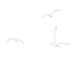 Similar image 11923656