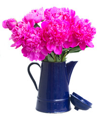 Similar image 11898516