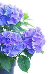 Similar image 11899661