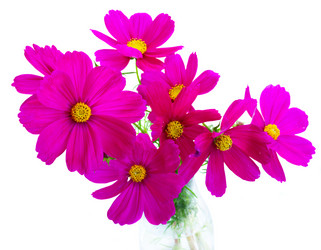 Similar image 11899831