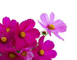 Similar image 11894810