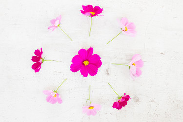 Similar image 11900290