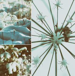 Similar image 11917208