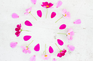 Similar image 11899592