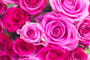 Similar image 11899638