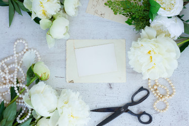 Similar image 11894730