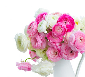 Similar image 11898292