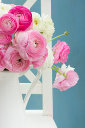 Similar image 11898293