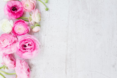 Similar image 11899713