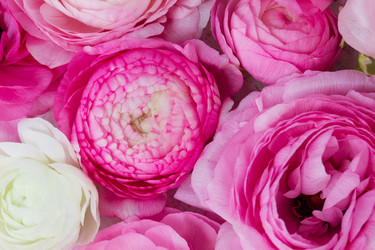 Similar image 11899948