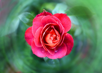 Similar image 11922139