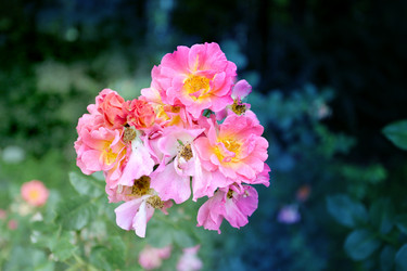 Similar image 11922031