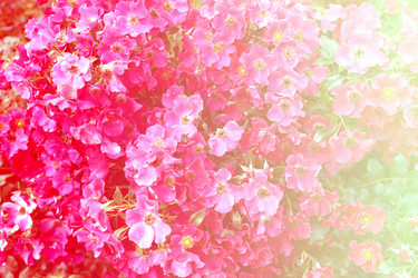 Similar image 11922114