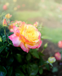 Similar image 11922115