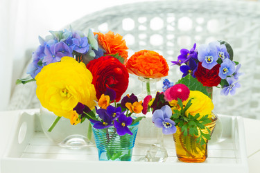 Similar image 11899532