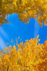 Similar image 11899533