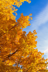 Similar image 11899471