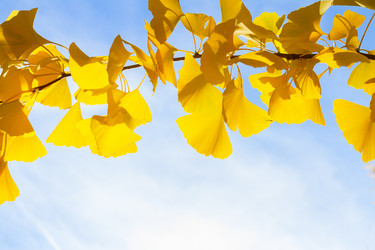 Similar image 11899473