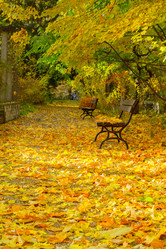 Similar image 11899475