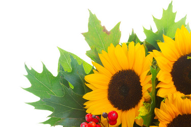 Similar image 11899549