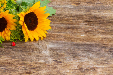 Similar image 11899551