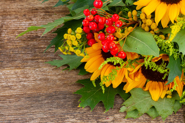 Similar image 11899575