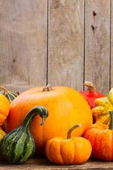 Similar image 11899576